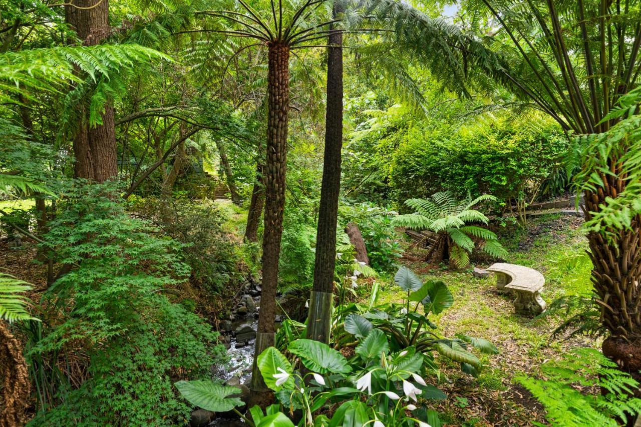 Paddys Creek Retreat Upwey Exterior foto