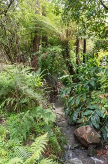 Paddys Creek Retreat Upwey Exterior foto