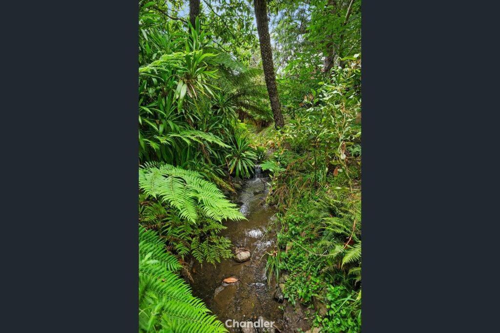 Paddys Creek Retreat Upwey Exterior foto